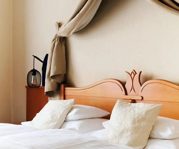 温泉绿洲加尼酒店 巴特布卢毛