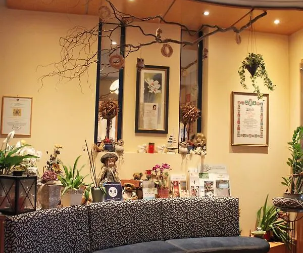 温泉绿洲加尼酒店 酒店 巴特布卢毛